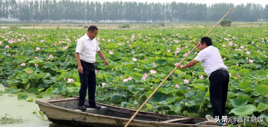 “藕”“虾”混养“钱”景好强村富民促振兴