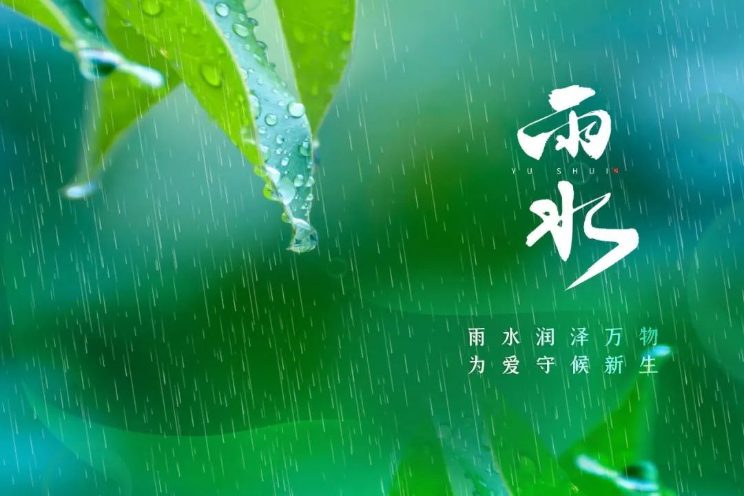 极美的十首春雨古诗词,写春天最唯美的古诗词50首