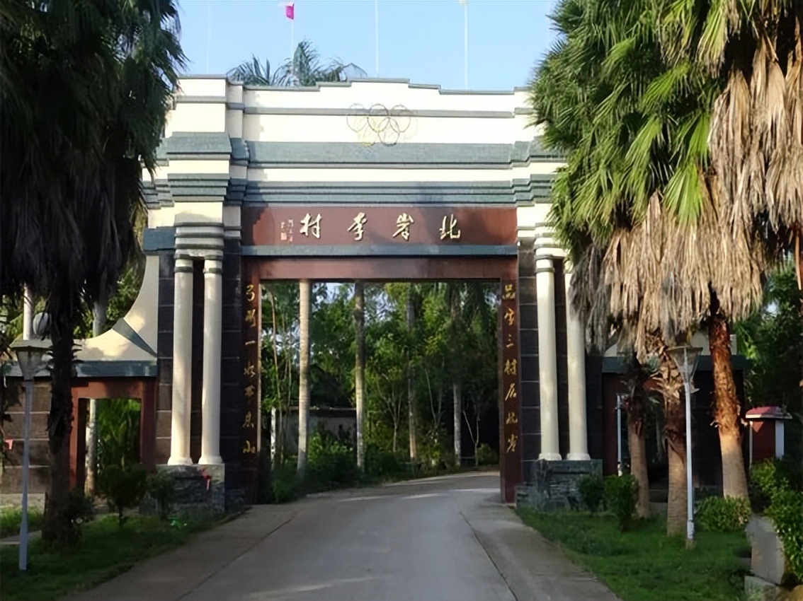 中国黄花梨第一村,海南最大的黄花梨加工基地在哪里