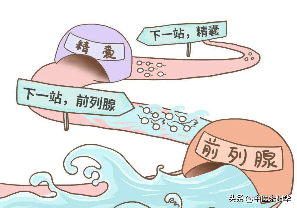 男人都有前列腺炎症吗,男人前列腺炎病是怎么得的