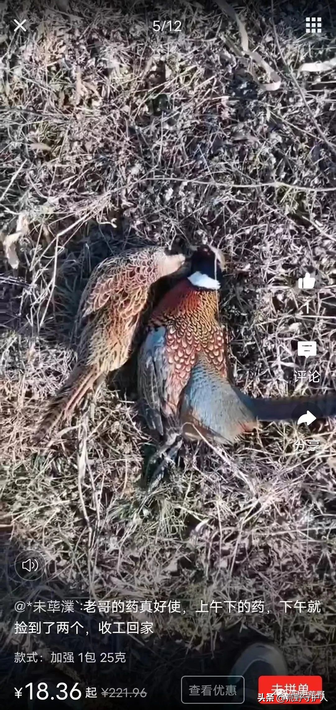 非法经营野生动植物 (野生动植物非法贸易联合行动汇报)