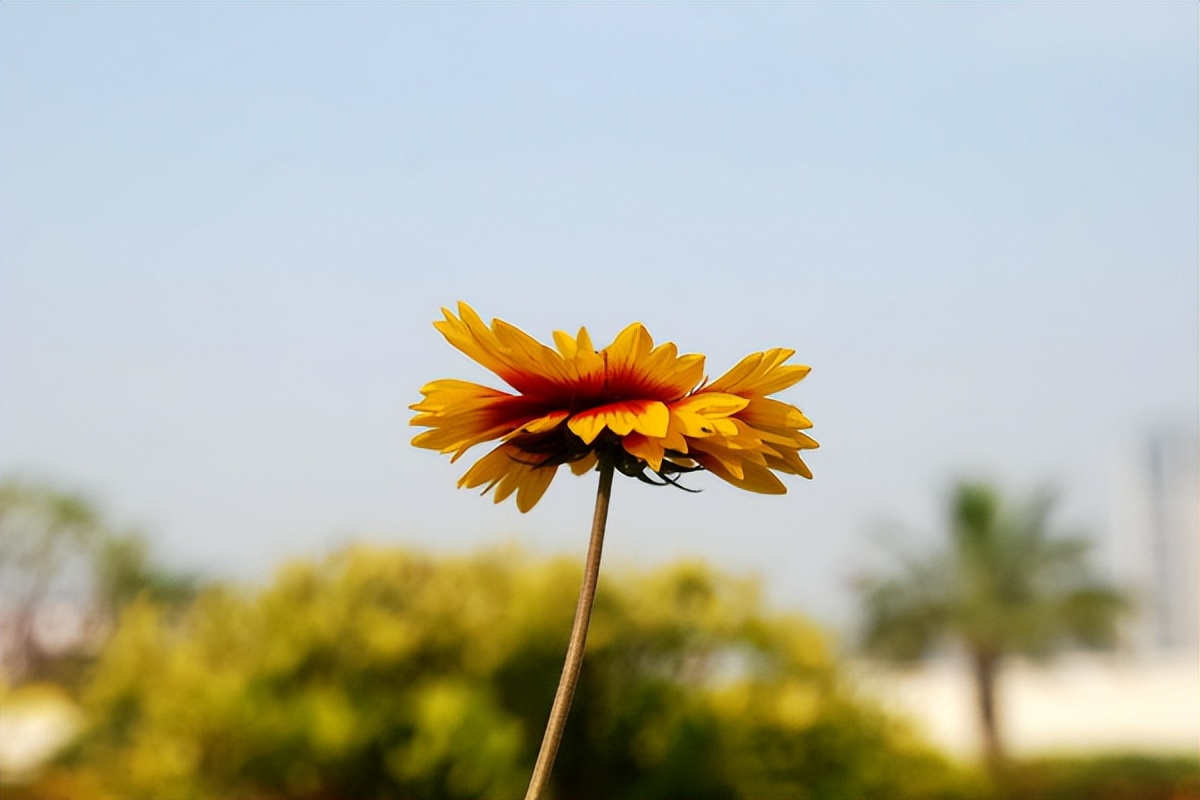 情侣之间分手正确处理方式,假分手怎么挽回