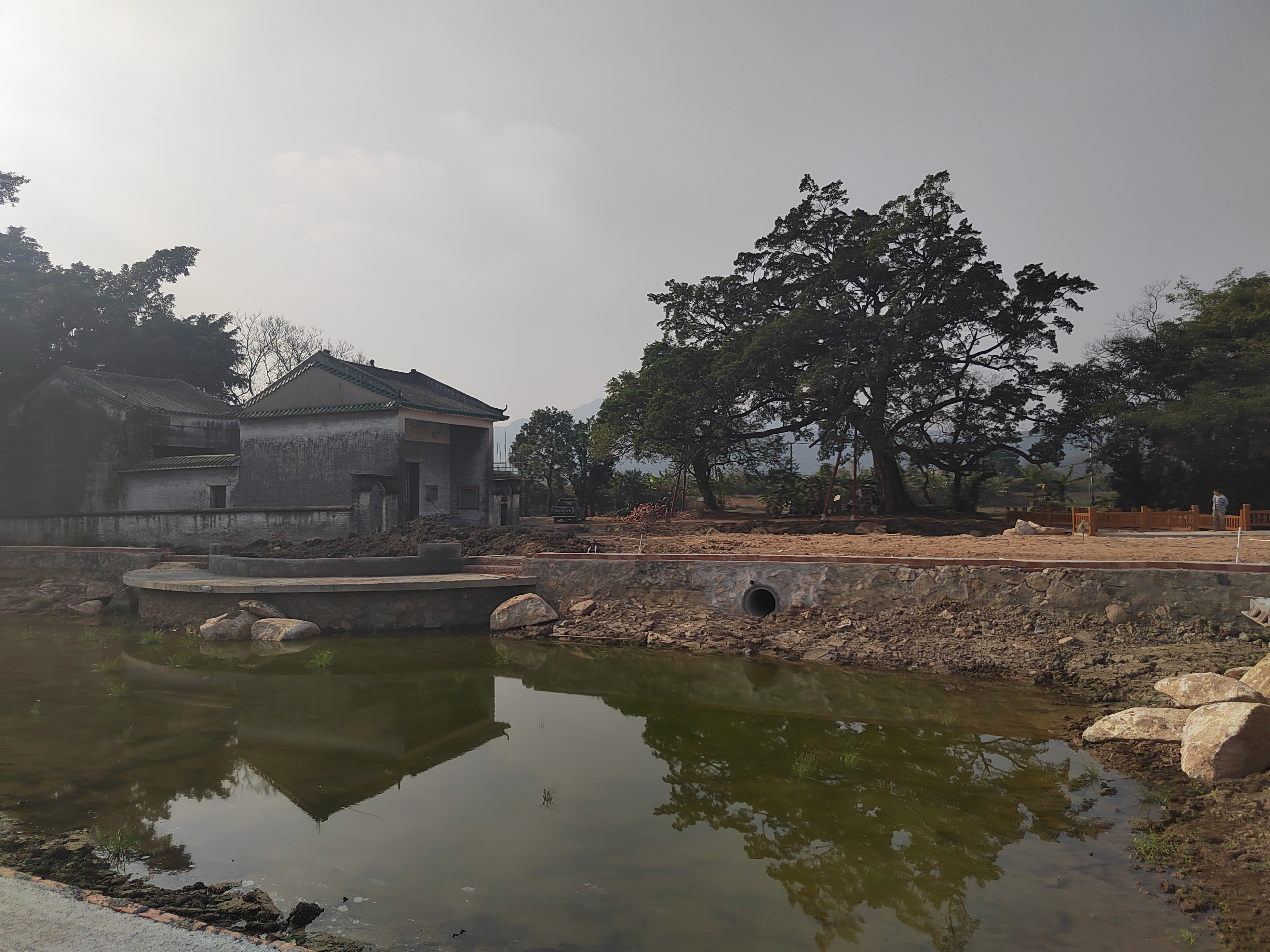 江门新会旅游景点小鸟的天堂,新会小鸟天堂历史记录