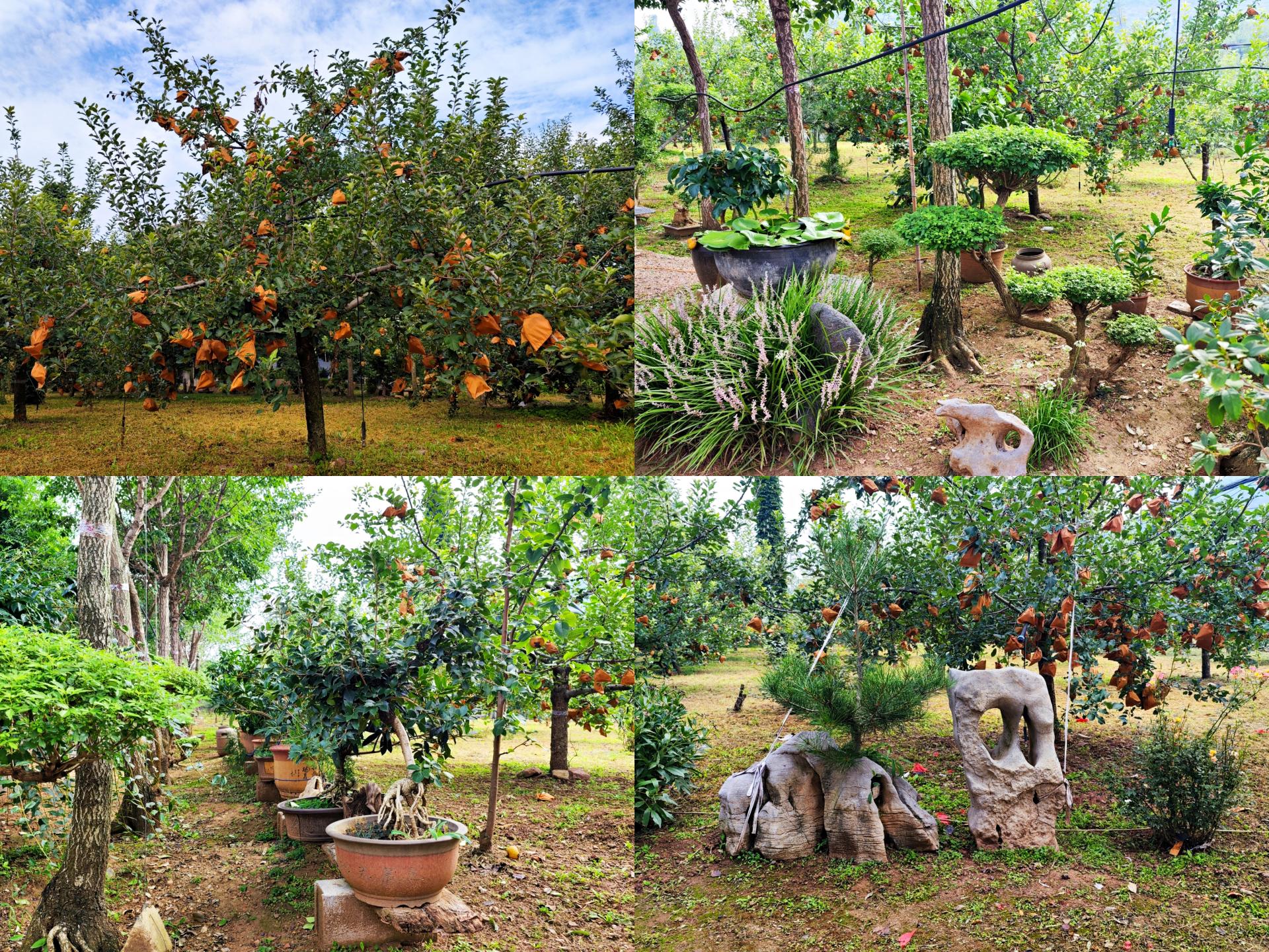 农村院里安个无线监控摄像头,农村家门口安装监控摄像头方法