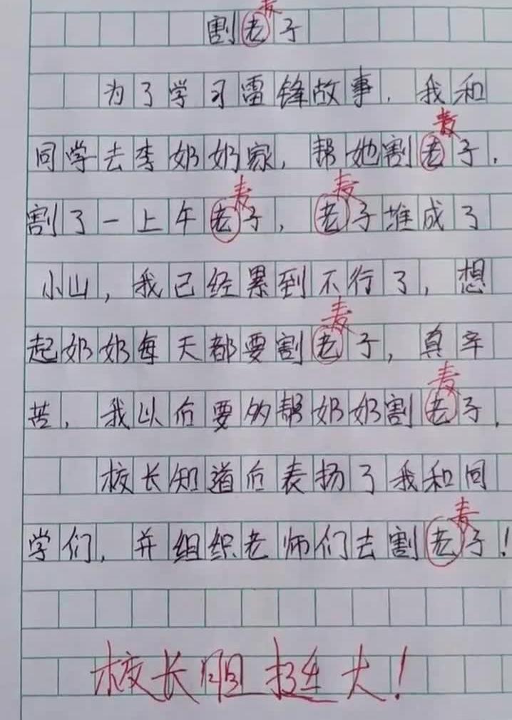 小学生作文《我的小姨》走红，个人隐私被泄露，小姨气地追着打