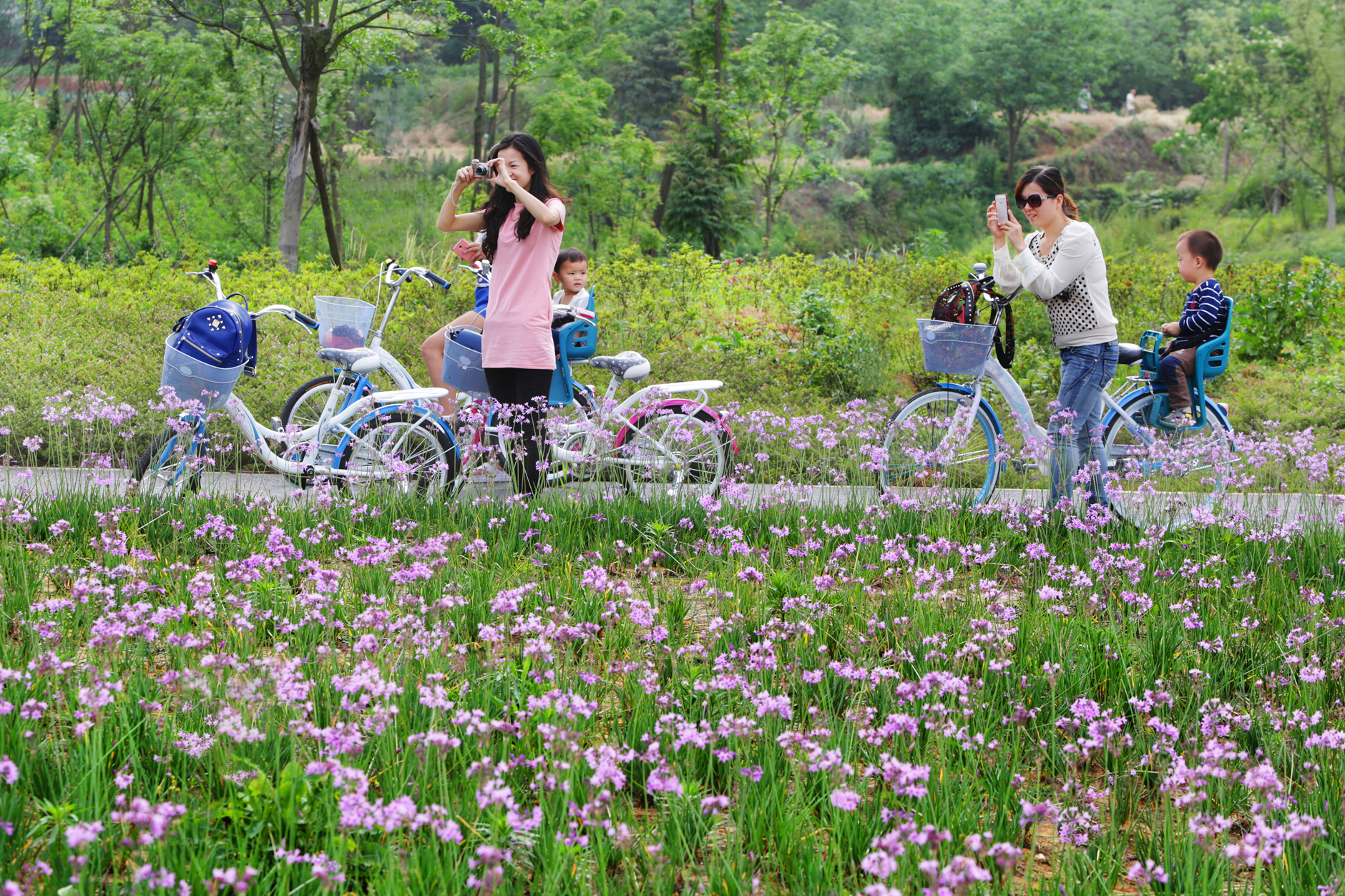 成都双流区文旅活动,成都双流区文化旅游项目