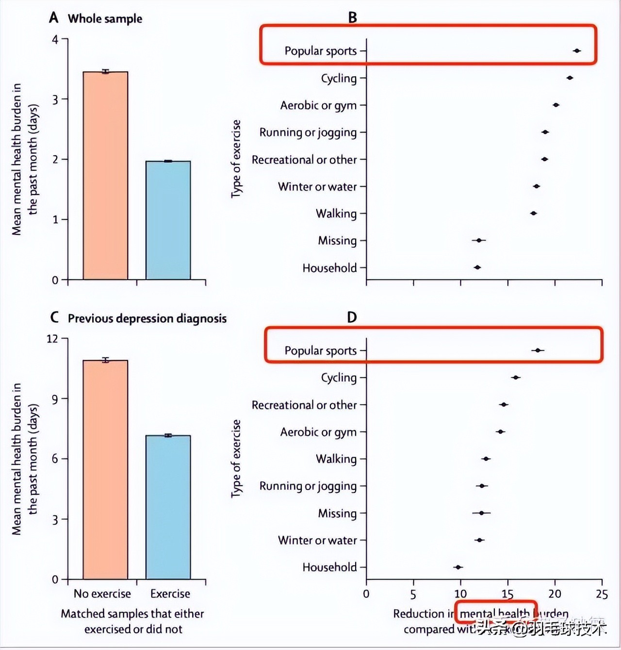 柳叶刀说挥拍是最佳运动,柳叶刀认为挥拍运动是最好的运动