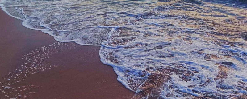 蓬莱阁旅游攻略一日游2020年,蓬莱阁旅游攻略2023年