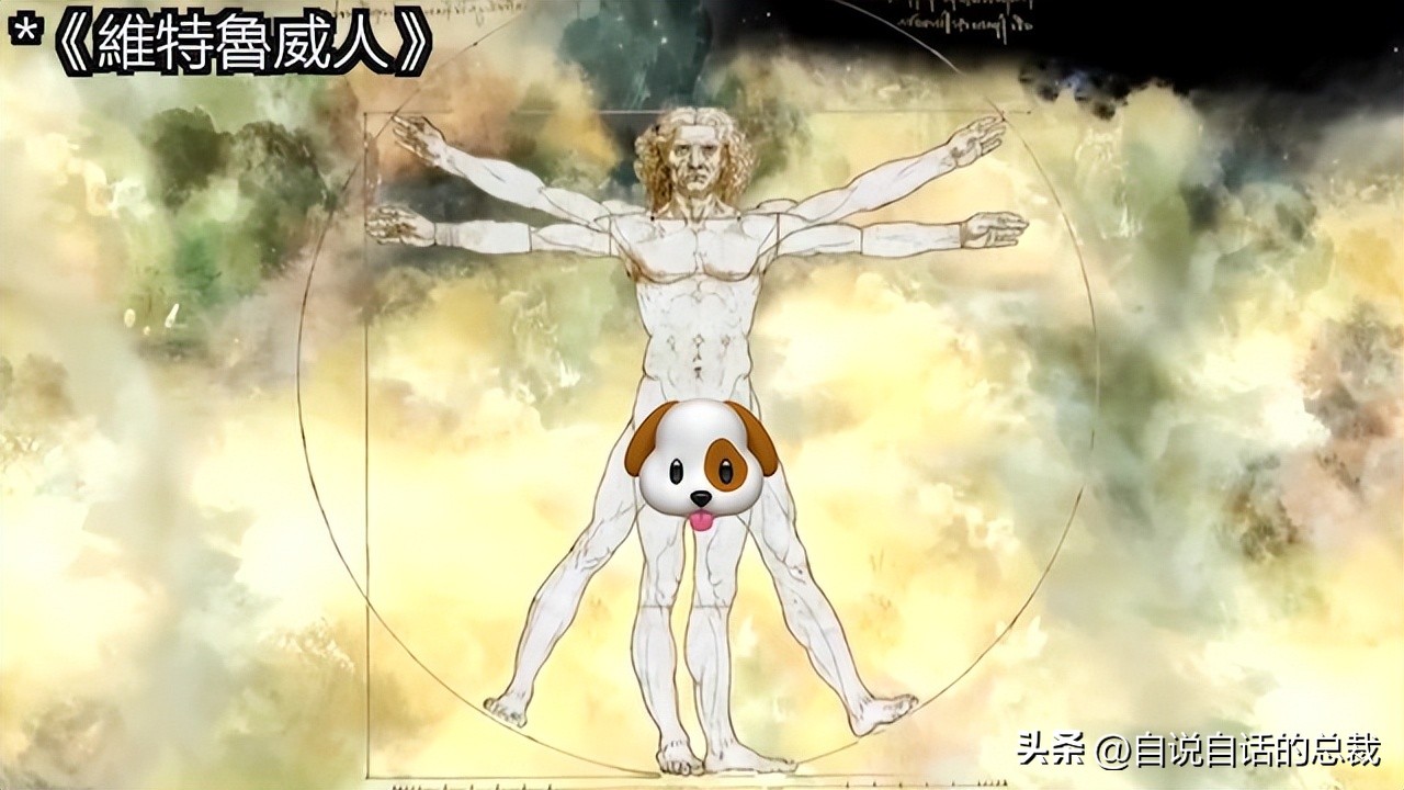 达芬奇一生最大的成就有哪些,达芬奇真实的故事