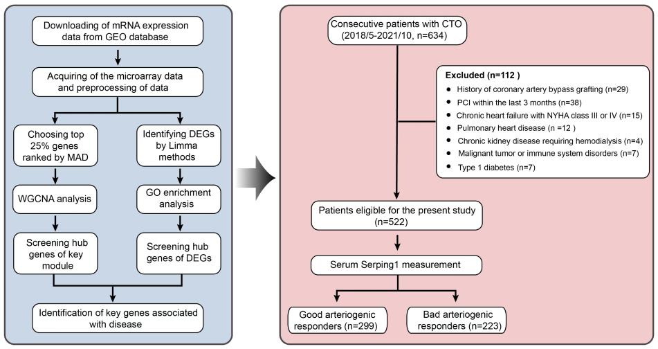 4张图=6分+的WGCNA非肿瘤诊断标记物筛选!简单实验也可达成!