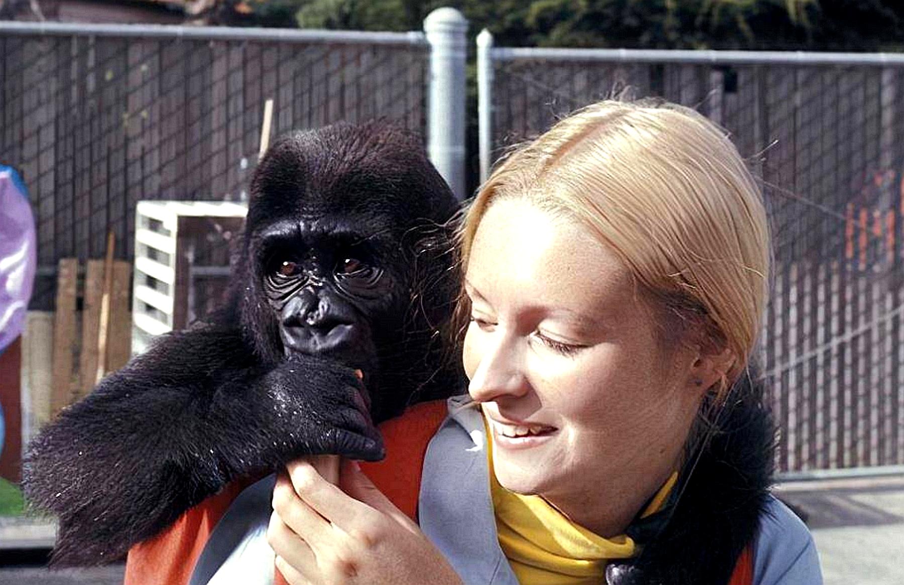 黄种人、黑种人和白种人为啥能自由交配?人类没有生殖隔离吗?