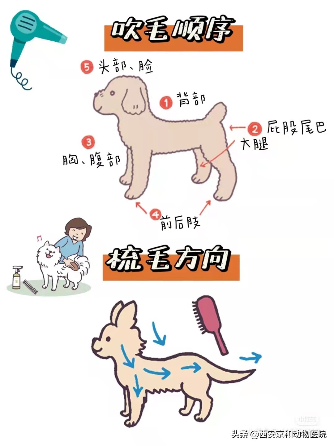 超全狗狗洗澡流程！直接抄作业照着做