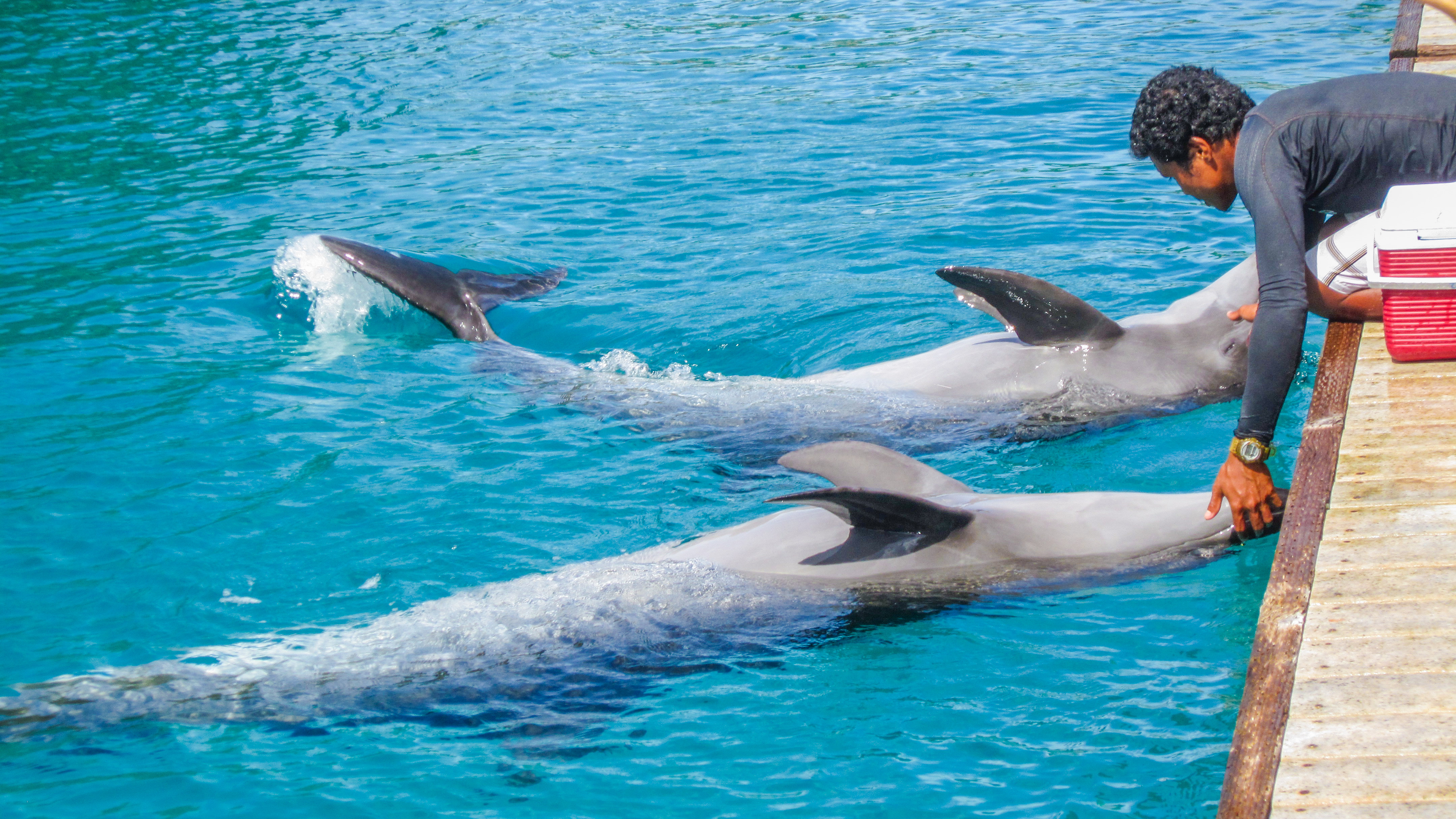 上帝的水族箱,上帝的鱼缸马尔代夫