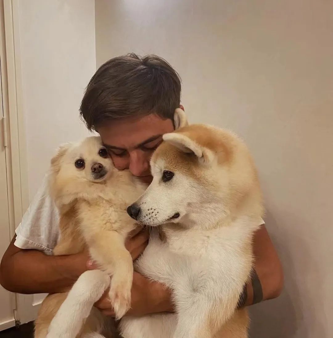 世界杯各国帅哥,世界杯帅哥有哪些