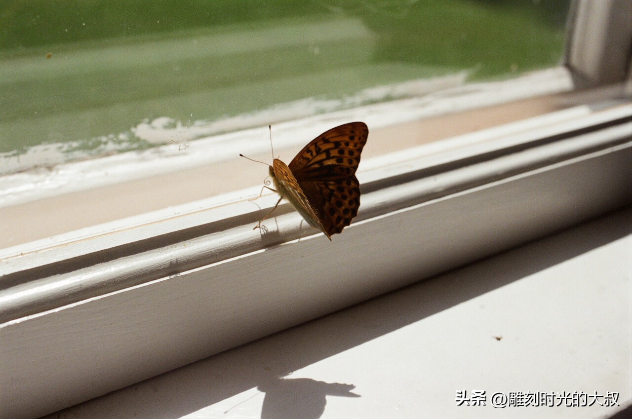 摄影师的每天日常生活就是发现美,做一名摄影师把美都记录下来