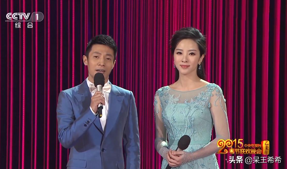 央视春晚主持人鲁豫简介,央视春晚开场任鲁豫