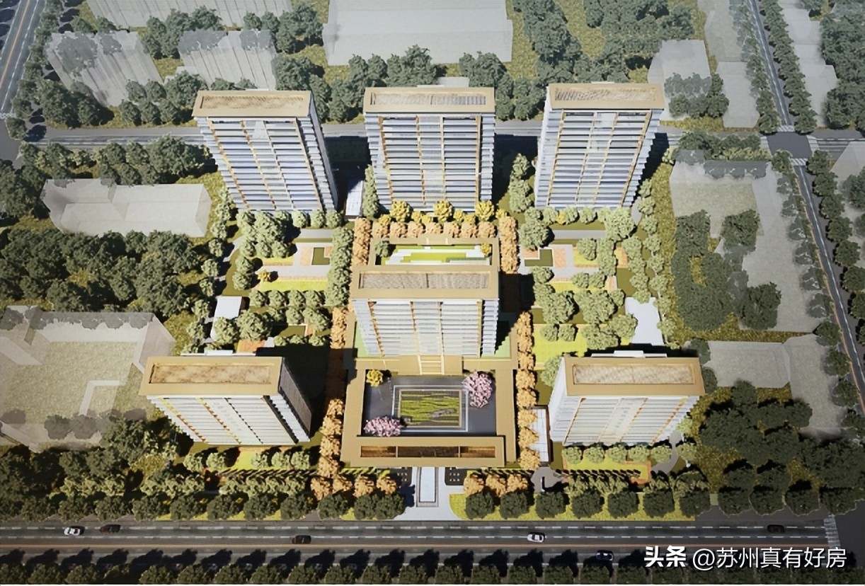 开局四大神兽,四大神盘新房