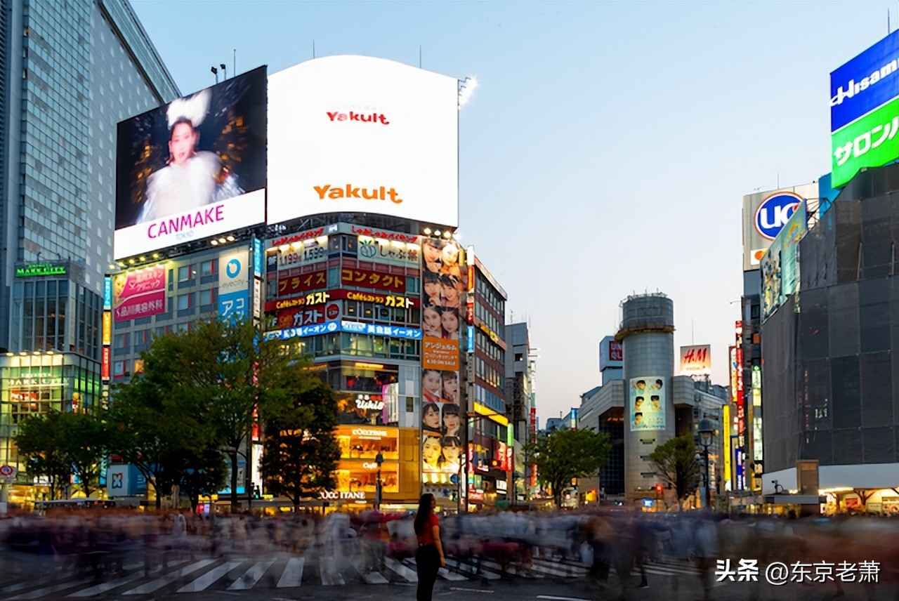 十年东京华人老炮科普——日本生活六大*规则潜**