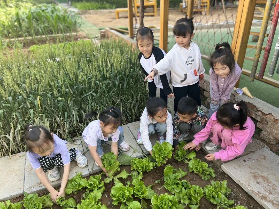 倾听儿童相伴成长主题墙幼儿园,倾听儿童相伴成长幼儿园小班视频