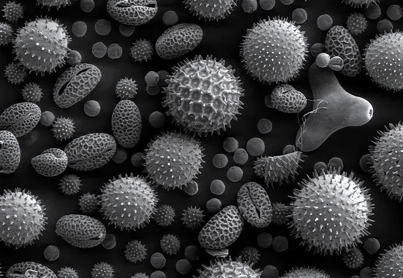 科研必须了解的24种材料表征仪器,材料表征仪器