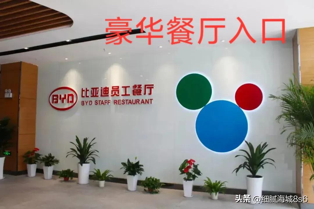 深圳还有宝龙比亚迪吗,深圳宝龙比亚迪现在封厂没