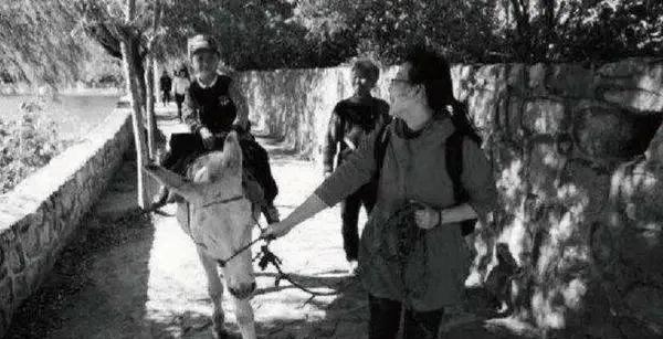 再见白龙马,无相白龙马