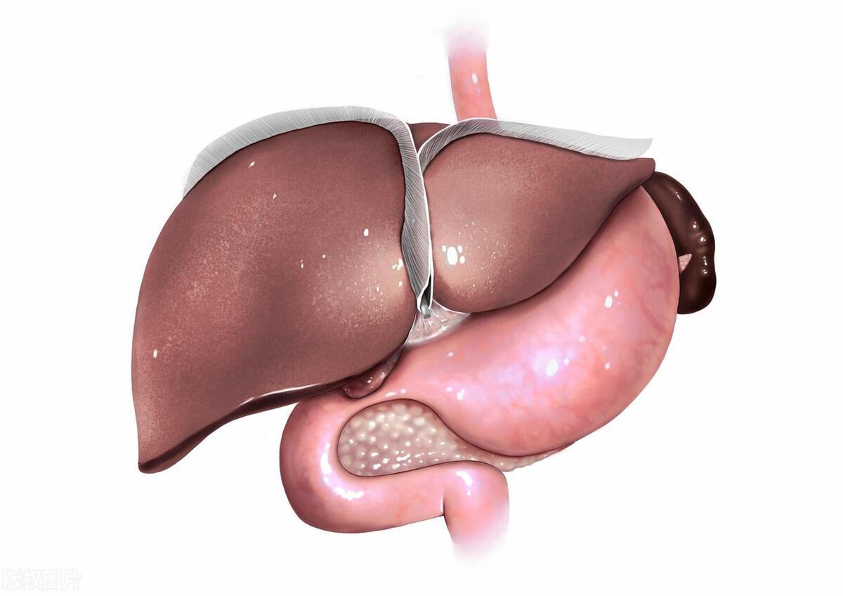 脾不好睡觉流口水怎样调理,睡觉爱流口水吃什么药