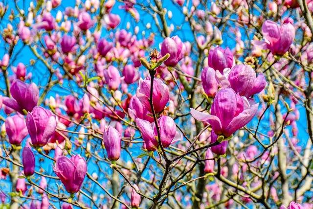 关于春的诗自创现代诗五言,春风的原创现代诗