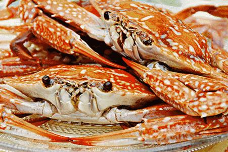 广州到湛江高铁1.5小时,广州湛江1.5小时高铁