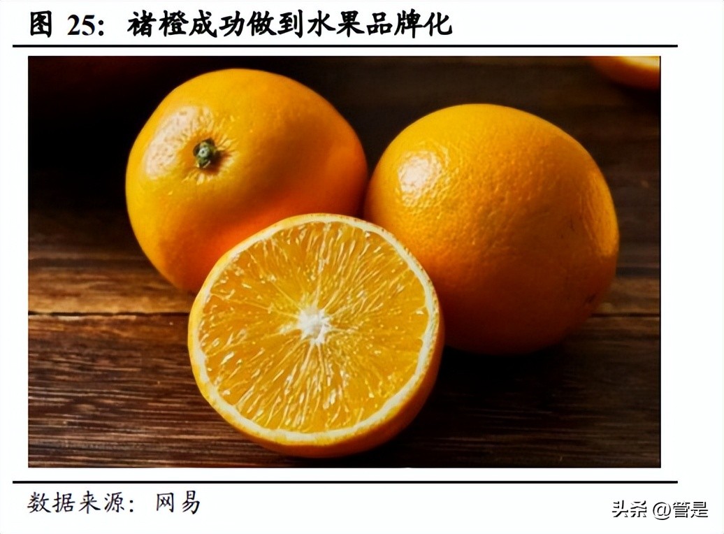 洪九果品年度报告,洪九果品鲜果供应链