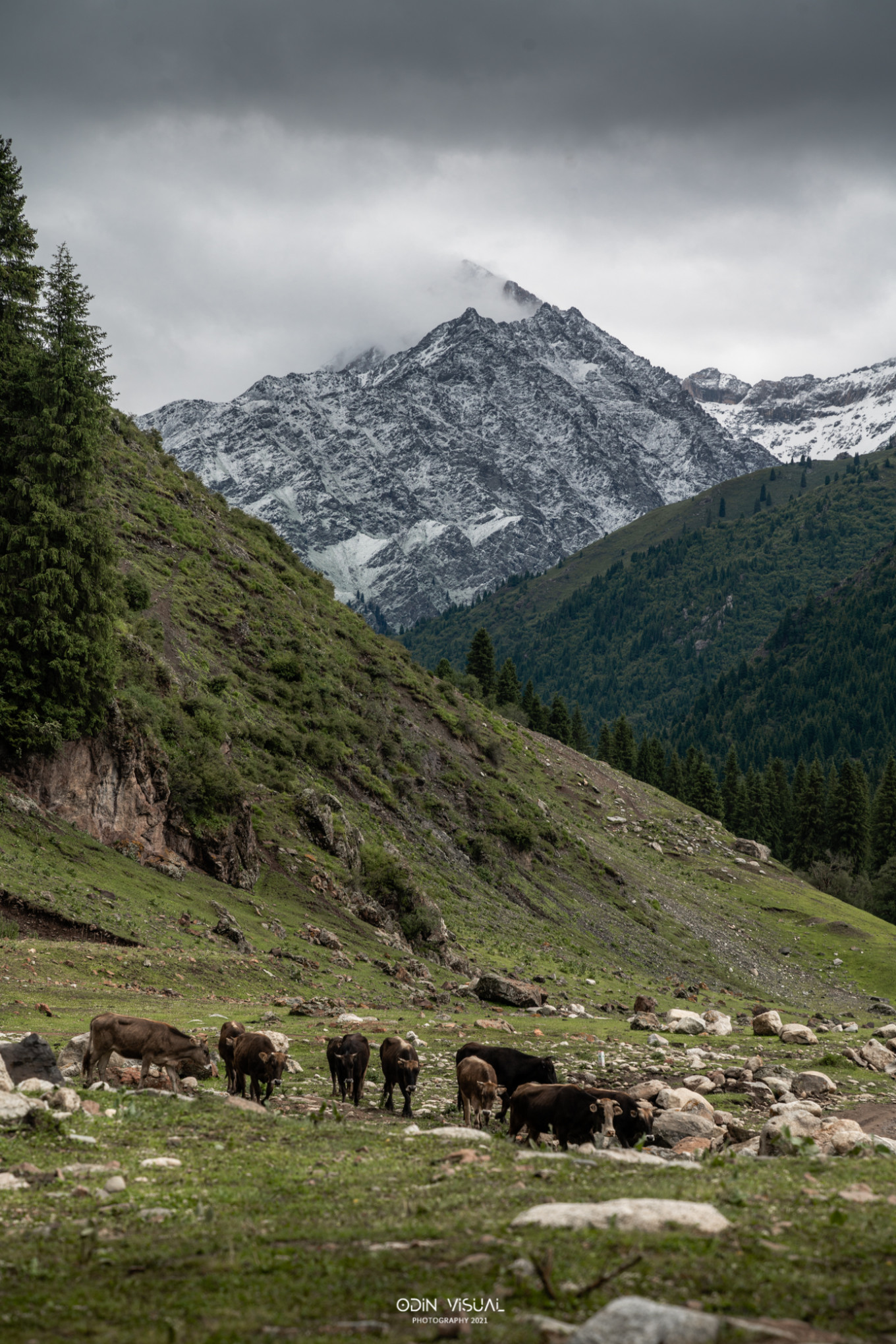 去新疆发现伊犁的美,世界之美尽在伊犁