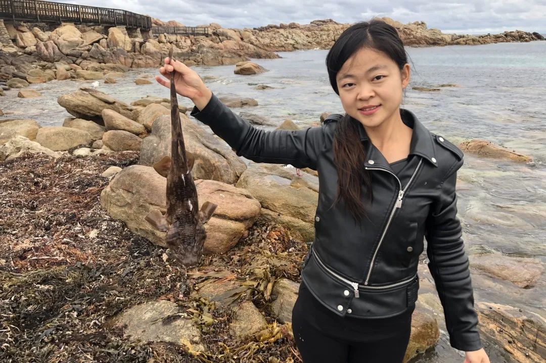 90后小荷在澳洲:环游26国,在990平房子里,种菜喂鸡养蜜蜂