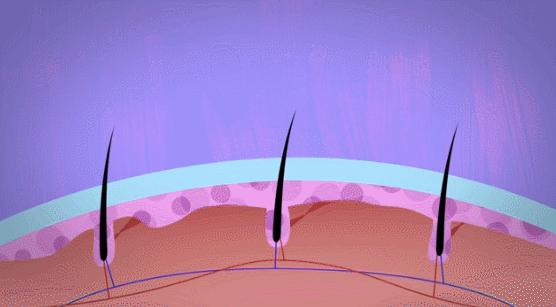 走近科学治白发,冷知识科普白发