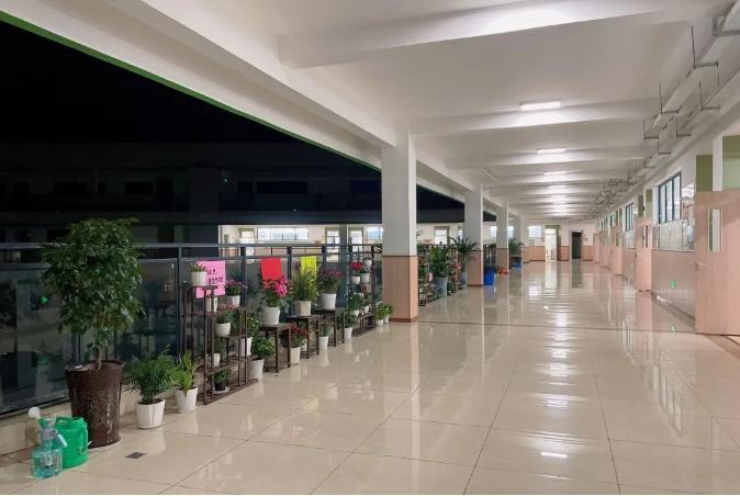 以一日之力，应朝阳之功——记乐山东辰高中部的一天