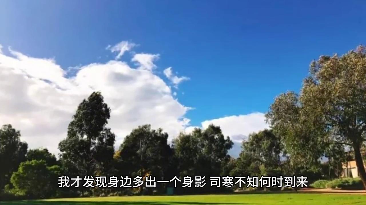 她做了他五年的地下情人,她做了他五年地下情人