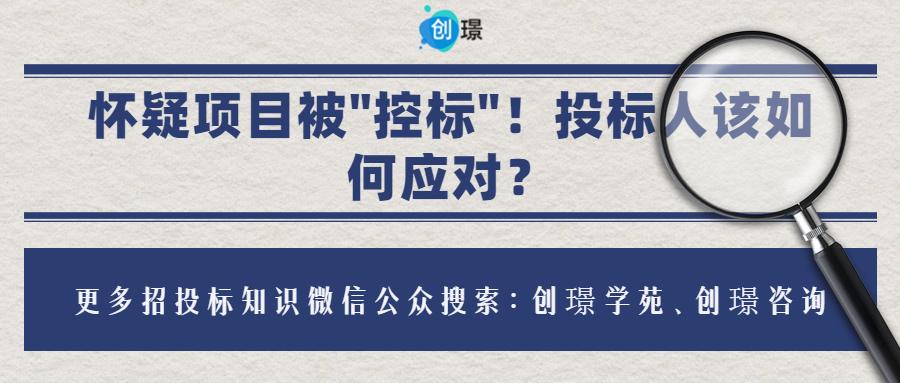 项目出了问题投标人有责任么,项目是否被内定投标人应如何判断
