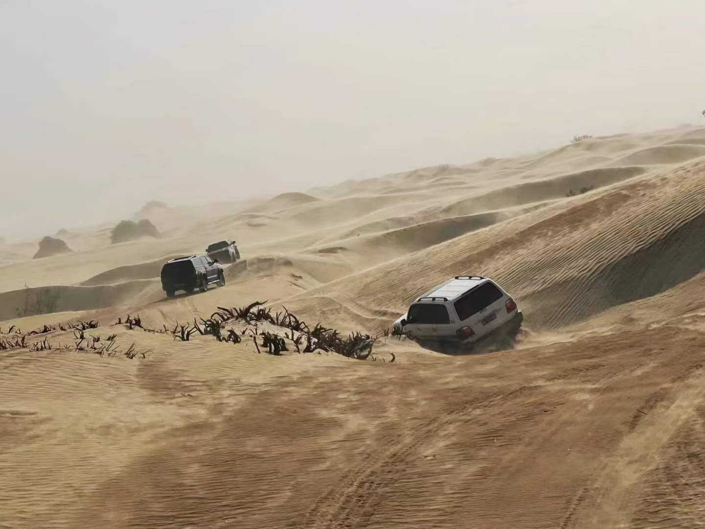 吐鲁番的葡萄南阳的梨,吐鲁番的葡萄哈密的瓜视频