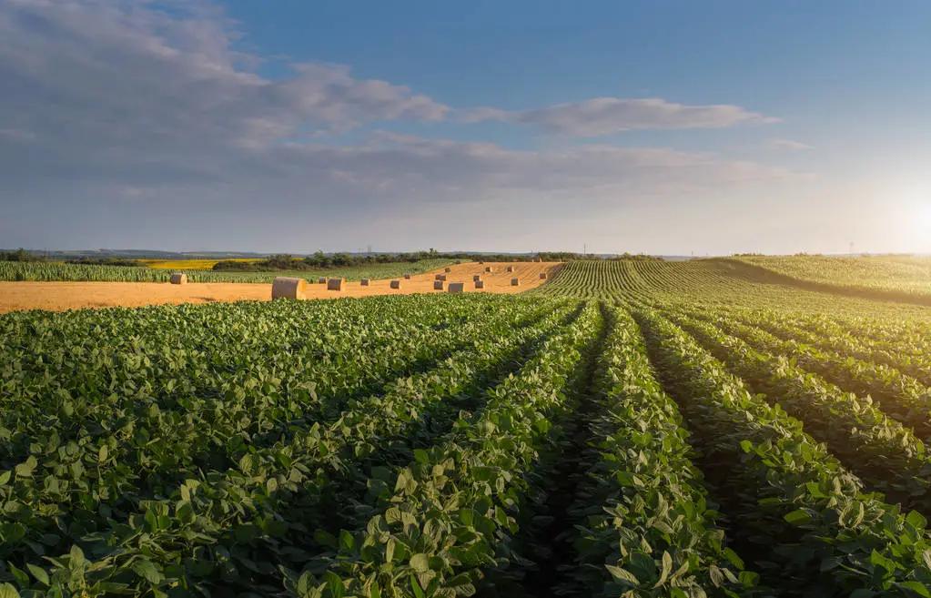 流转土地的政策是强制的吗,农民土地被强制流转怎么办