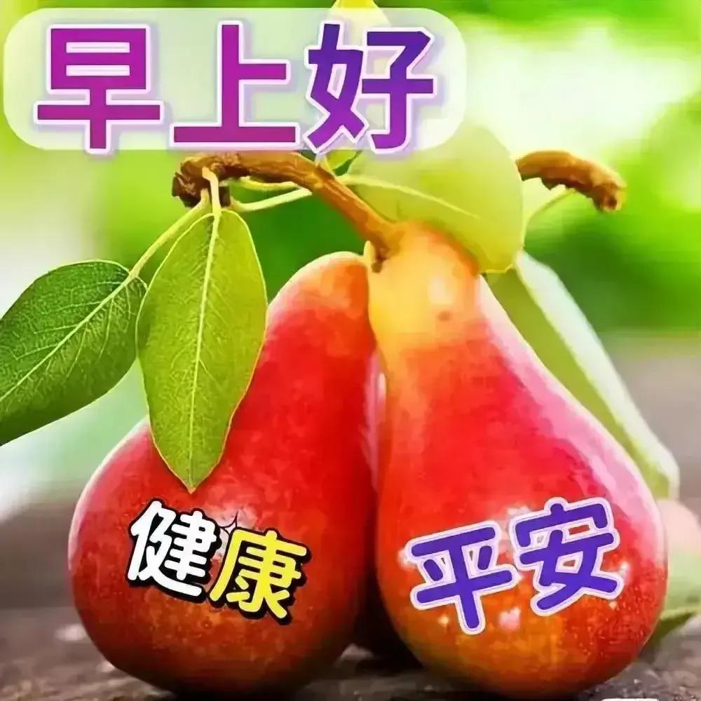 庚子日柱2023年癸卯年运势,癸卯年2023年哪个月出生最好