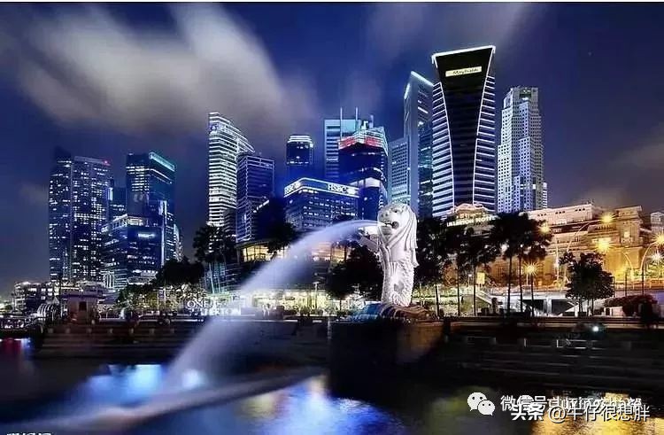 新加坡干货大全,新加坡旅游签证转工作签证