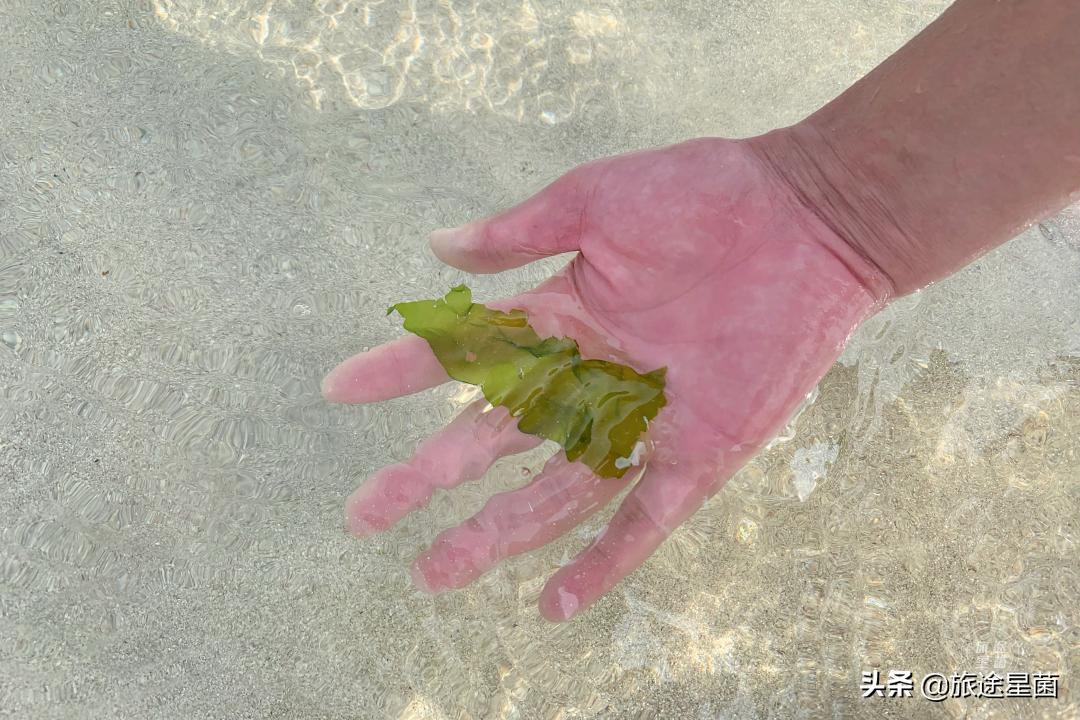 济州岛有雨季吗,韩国济州岛六月雨季