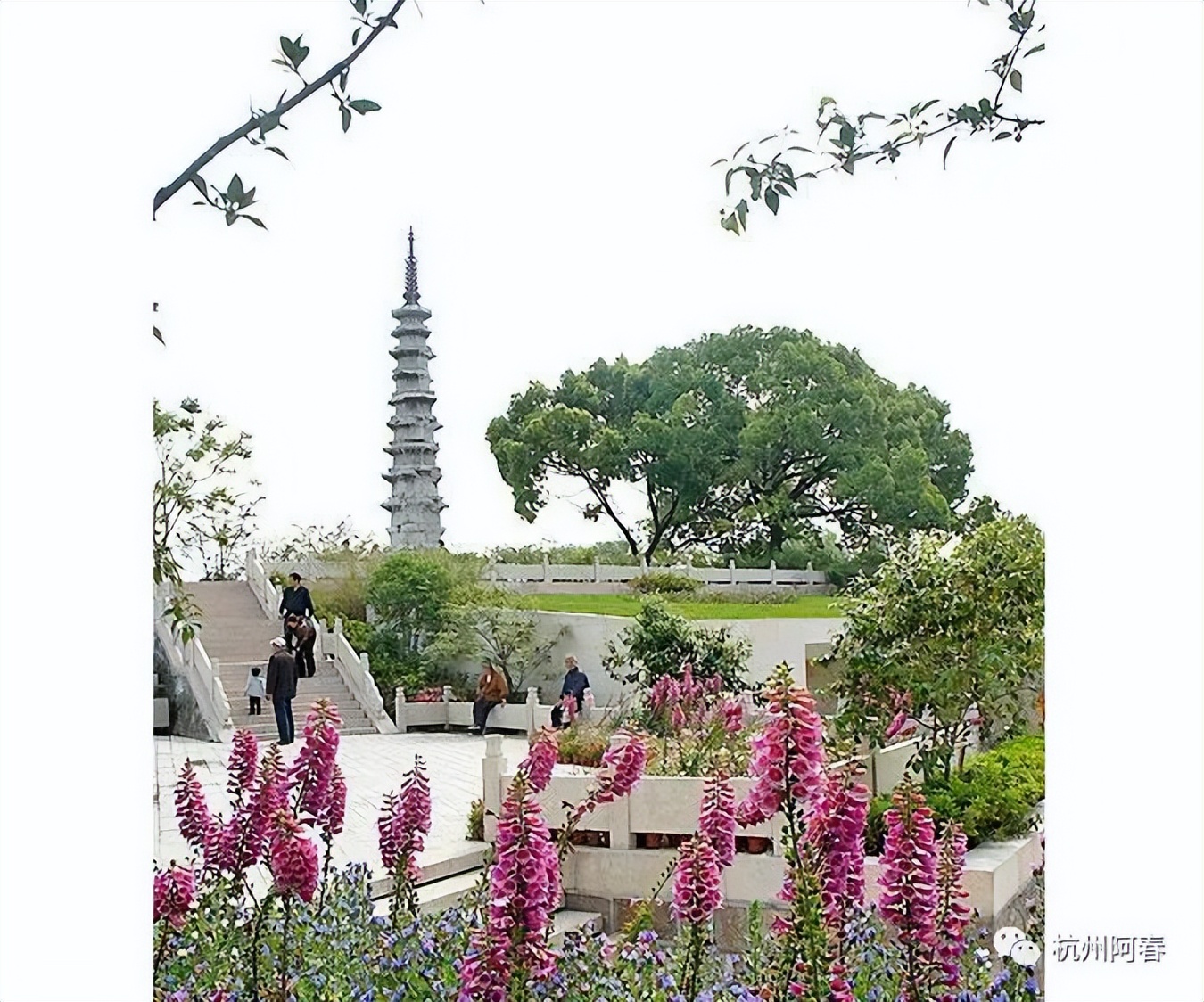 杭州人看钱塘江,逛逛浙江杭州白塔公园