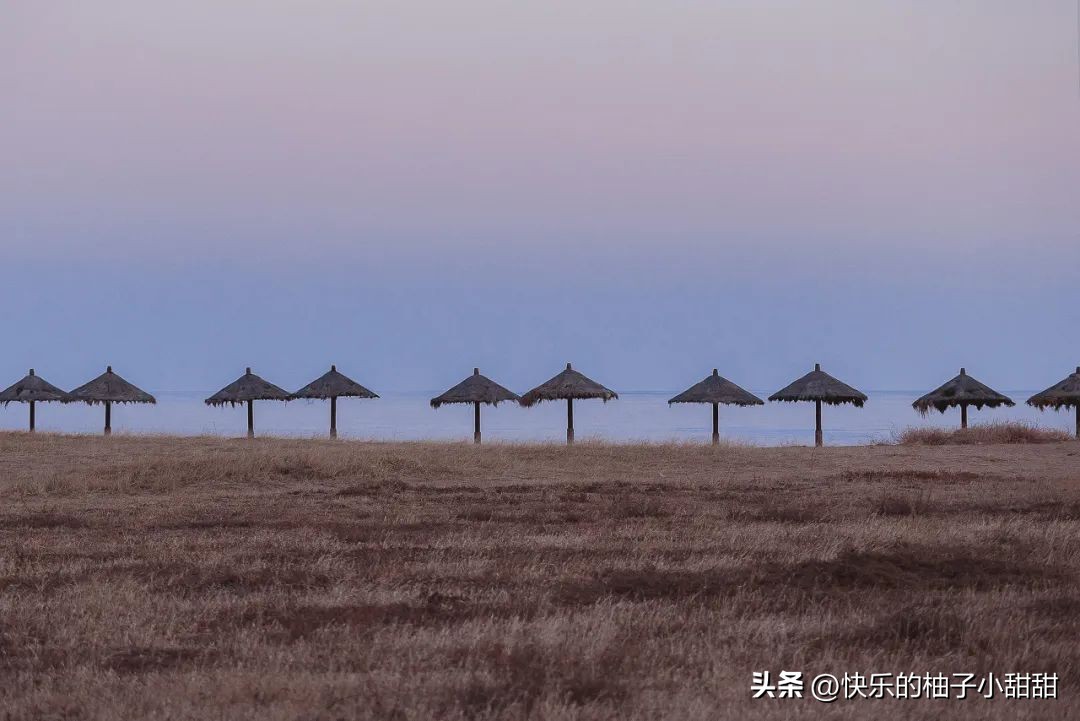 海边自助烧烤打卡地,海边烧烤自由行