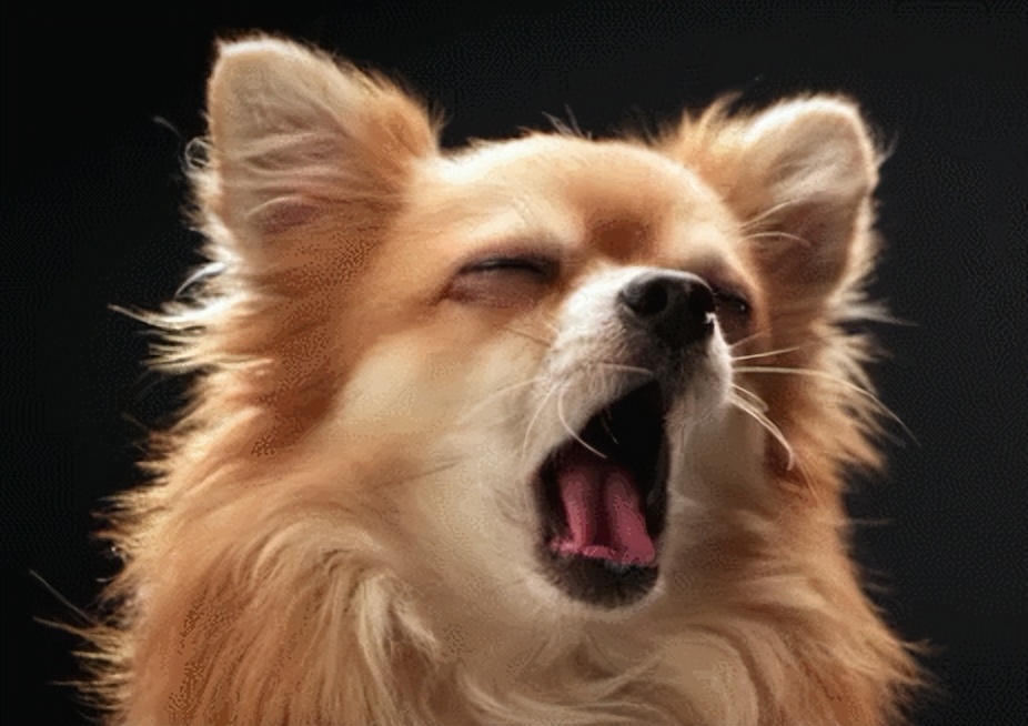 婆孙二人插队后续,婆孙俩插队后续