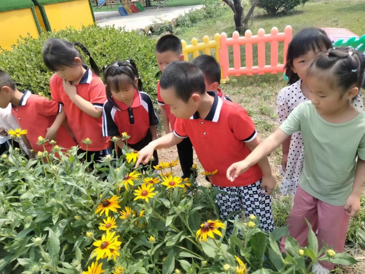 盛夏如花、向阳如初--道朗镇鱼池幼儿园赏花集锦