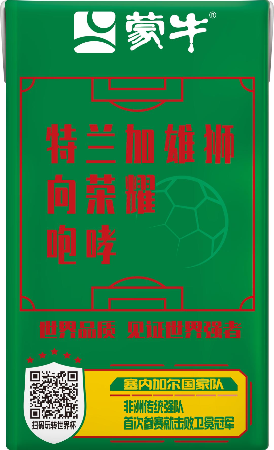 世界杯队长手记,世界杯队长纪录片葡萄牙