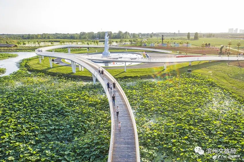 我爱我的家乡滨州市,我的家乡在滨州的作文