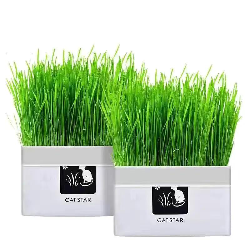 养猫好物分享猫砂,排名前十的猫粮养猫必看