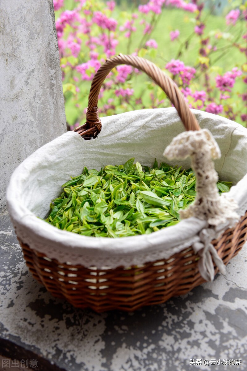唯有茶香才能治愈一切,茶香最真实的感受