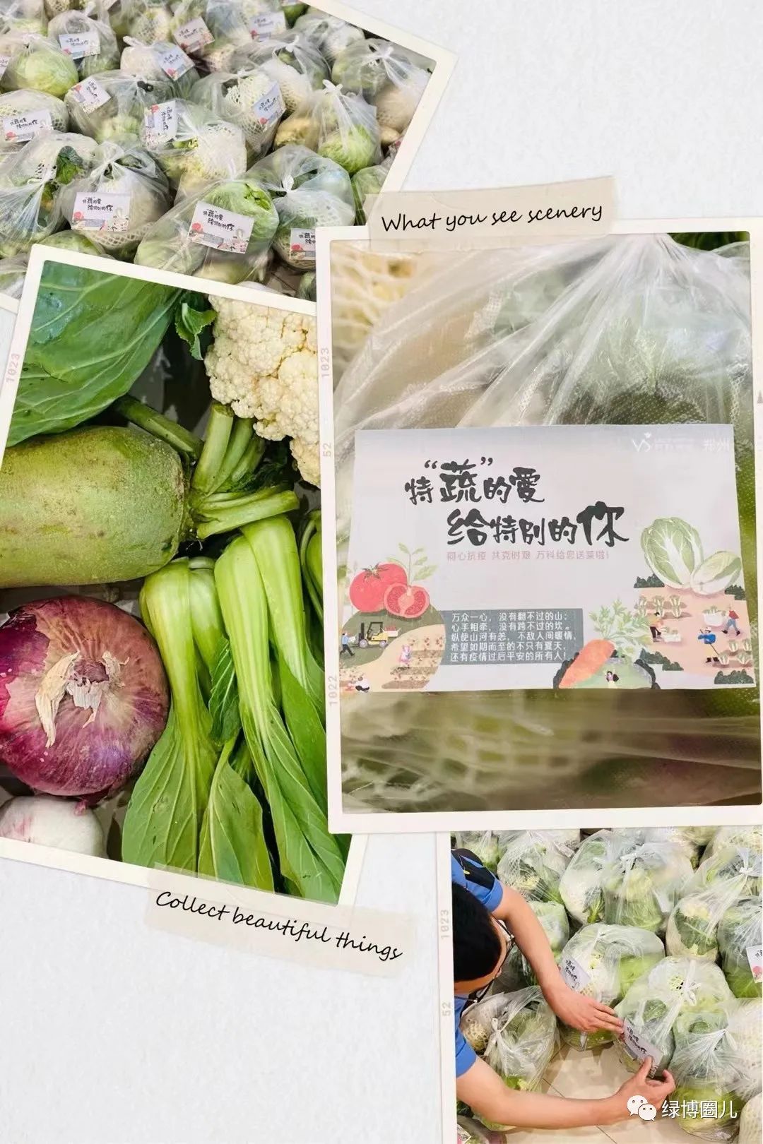 郑州目前口碑最好的物业公司,郑州产业园物业哪家好